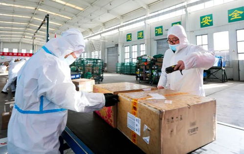 邮政ems包裹装什么 邮政ems包裹装什么