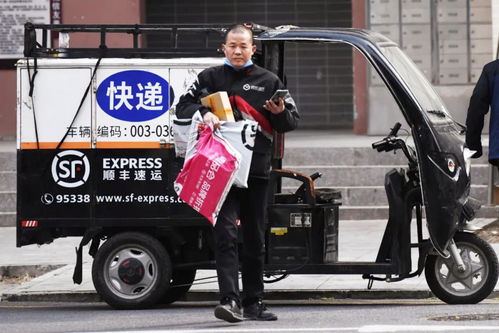 怎么查快递物流到哪了手机号