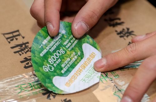 车皮号查询货物追踪
