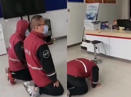 海淘送货时间缩短 上海或可当日收件