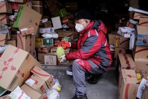 港区助郑州坐稳龙头位置 知名物流企业青睐航空 港区助郑州坐稳龙头位置 知名物流企业青睐航空