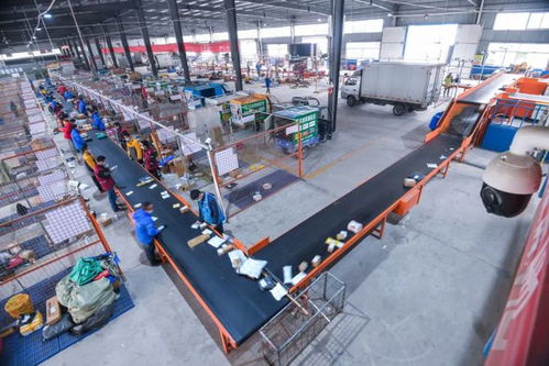 寄顺丰20斤左右多少钱