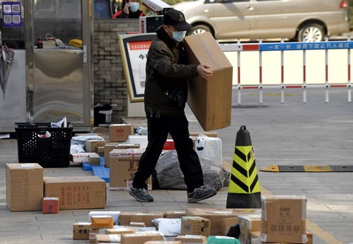 订单编号和物流单号一样吗