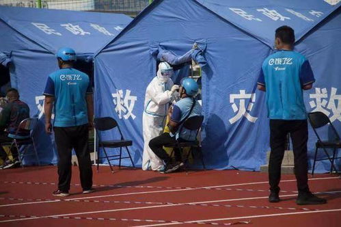 驹马集团 提升物流服务品质 积极备战岁末年