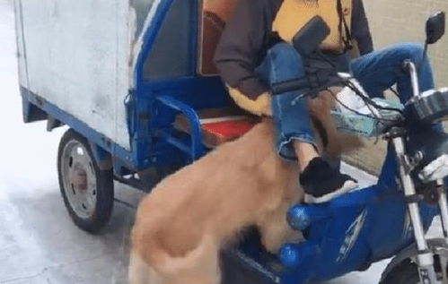 管快递的行业投诉电话