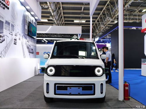 2025外贸低开高走 2025能否高开稳走 2025外贸低开高走 2025能否高开稳走