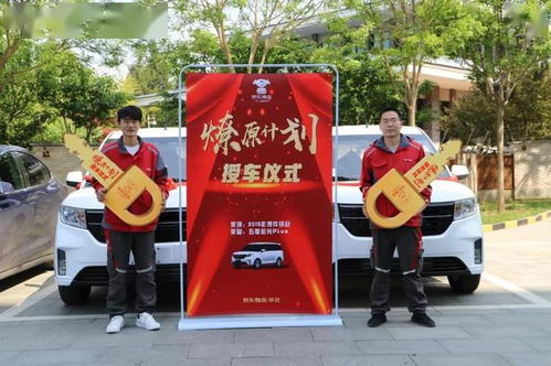 今年河北物流业咋发展要点来了 