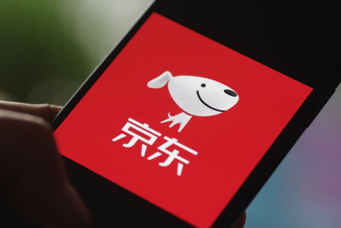 富豪小老婆(富豪小老婆苏皖)