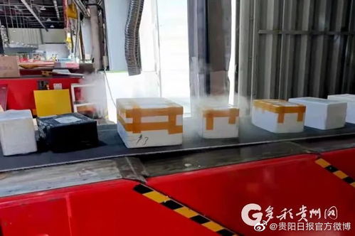 中通快运登陆管理系统