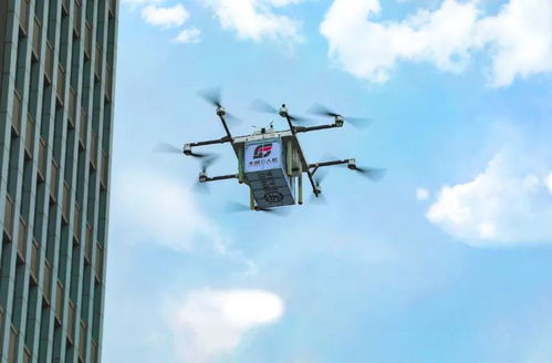 宠物跨省托运价格表