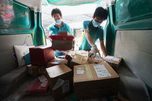 双11物流大 全国日均700列动车助力快递运输