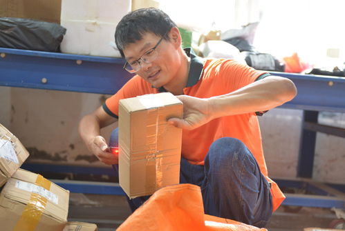 省内次日达快递公司