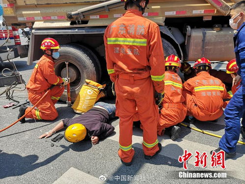 信阳腾达物流的运输效率与服务品质如何 信阳腾达物流的运输效率与服务品质如何