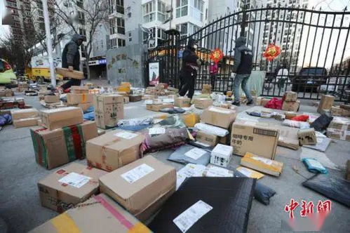 郑钦文当选WTA2025年度最受球迷欢迎单打球员