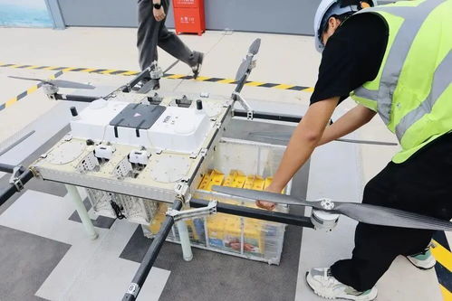 内蒙古会计人员综合管理服务系统