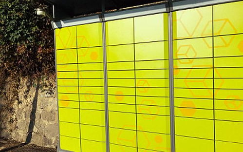 运输价格具有哪些特征