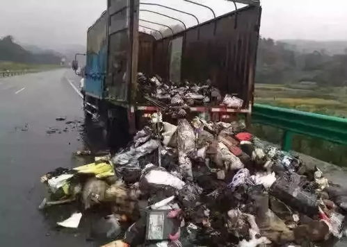 中国邮政邮票年册 如何收藏与鉴赏