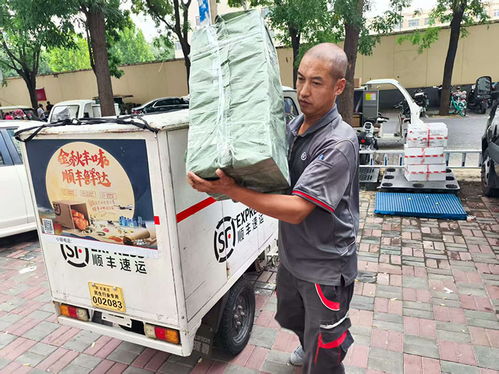 谋局智慧物流大时代