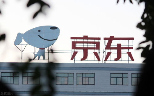 瑞金到义乌物流专线 瑞金到义乌物流专线