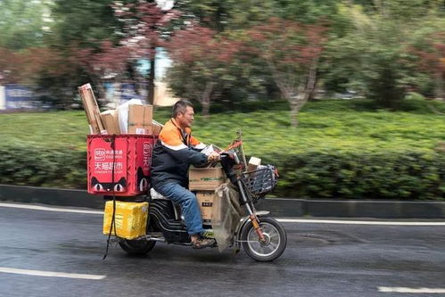 查快递号查询物流信息