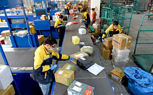 通达系加码直营体系建设 欲挑战顺丰独尊地位 通达系加码直营体系建设 欲挑战顺丰独尊地位