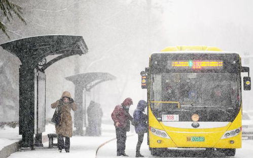 石家庄安能物流的运作效率和口碑如何