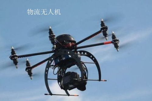 dpk快递单号查询自动查询