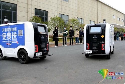 物流单号查询是什么