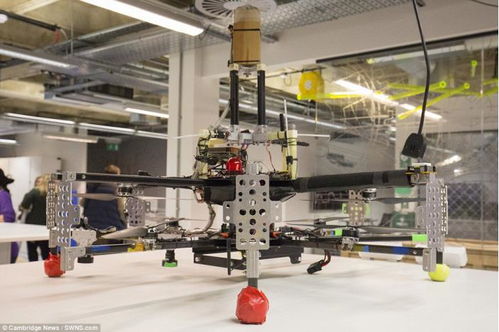 河北省物流业的发展现状趋势与挑战是什么 河北省物流业的发展现状趋势与挑战是什么