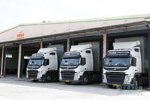 单场直播带动想看增长破纪录 猫眼联合抖音打