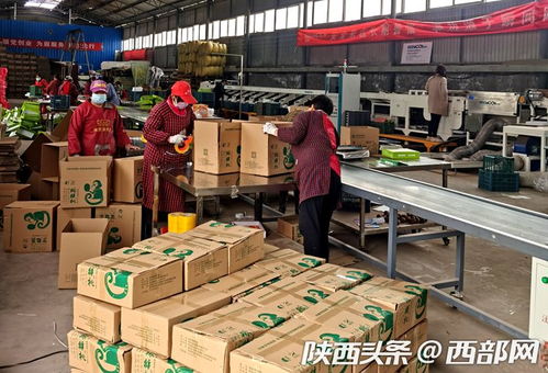 邹平八财物流如何保障高效顺畅运作