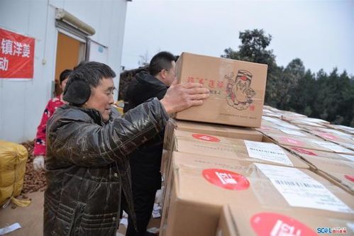 百度一下华宇物流单号查询