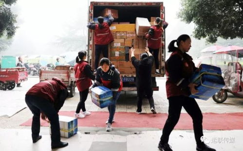 新园国际快递如何快速查询物流信息