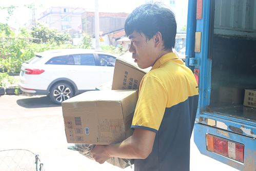 电视剧下辈子还嫁给你