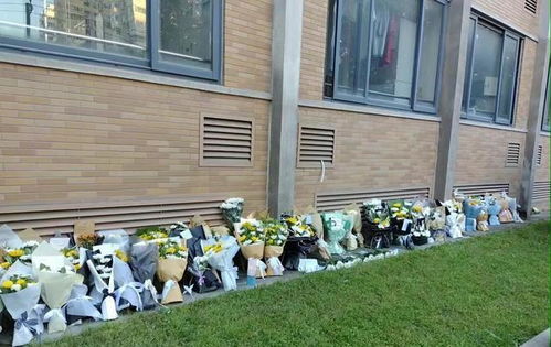 京东快递查询订单时 查询物流时发现货品已签收 可我分明就没有收到货