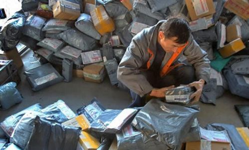 被六个大佬宠野后我飘了