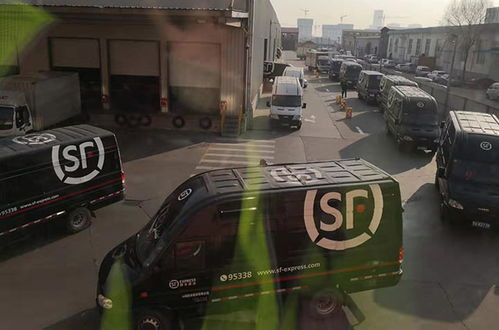 2025上半年全国快递量突破500亿件