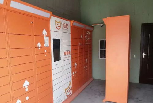 快递都去哪儿了快递公司离奇失踪案 快递都去哪儿了快递公司离奇失踪案