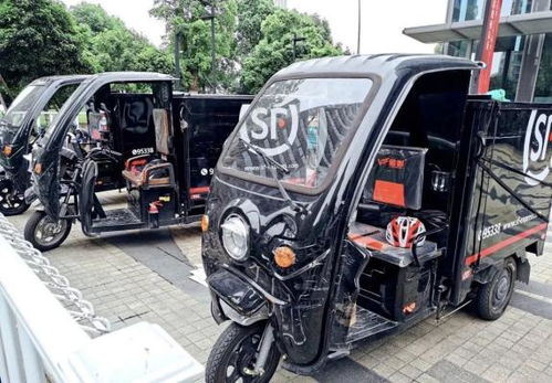 输入单号查快递邮政包裹单号查询 输入单号查快递邮政包裹单号查询