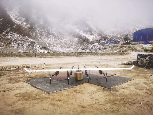 重庆物流公司招聘直招在哪里