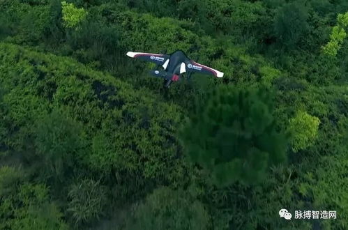 网罗信息 集约发展 山西一揽子政策规范网络货运发展