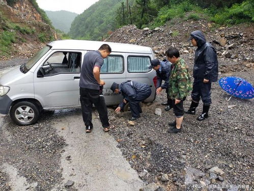 查个快递单号怎么查