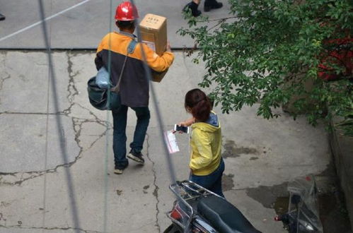 物流管理专业如何