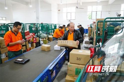 第三方物流供应商选择