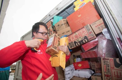 中国海关进出口信息查询