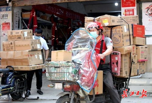 速尔快递运费价格表