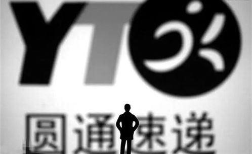 辛巴称三只羊还有四天时间