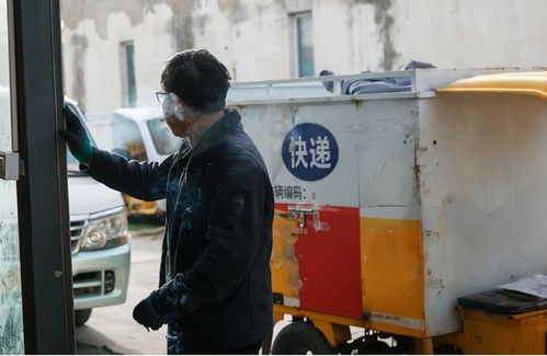 邮政挂号信能查询单号查询