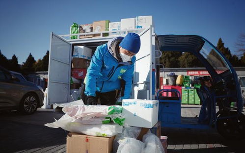 我国绿色物流的发展与发达国家相比差在哪