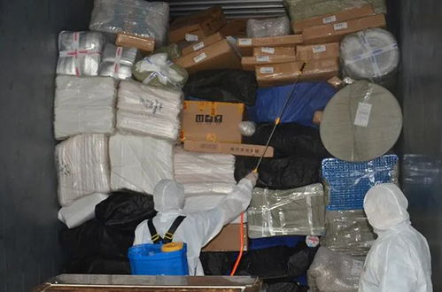 京东购物怎么查询物流